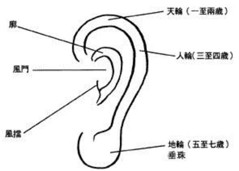 耳朵有洞面相|面相入门